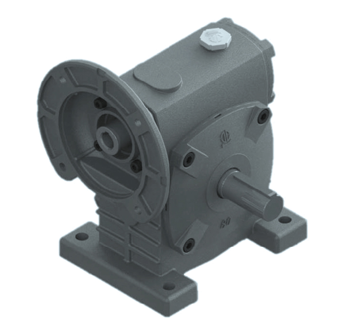 Worm Gear Reducer PAE 70R