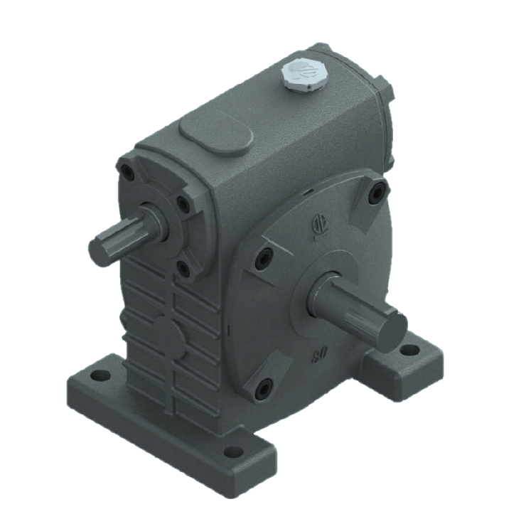 Worm Gear Reducer