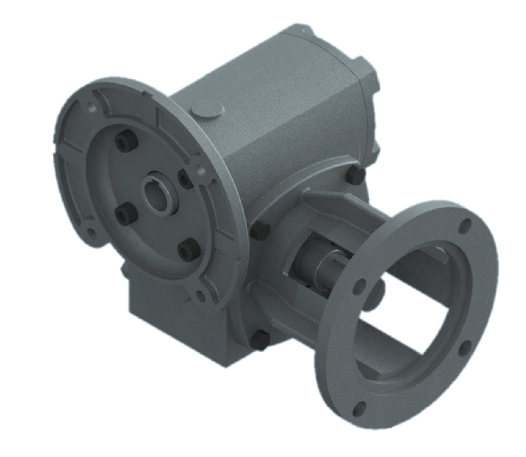 Worm Gear Reducer PDF