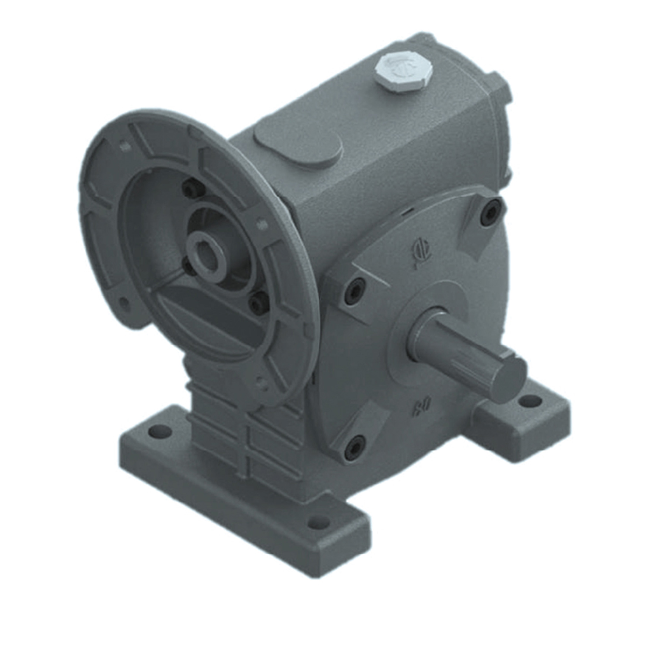 Worm Gear Reducer PAE 70R