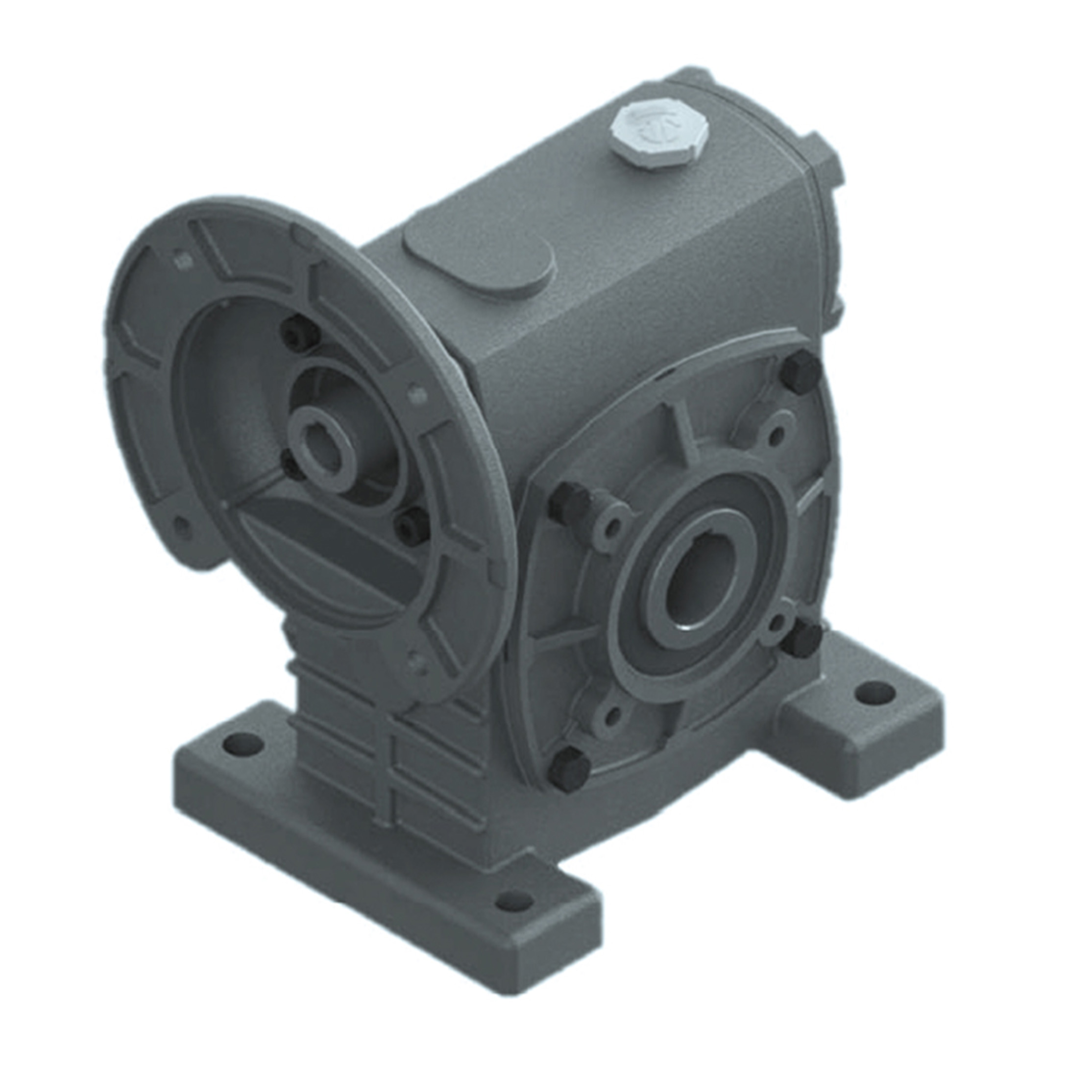 Worm Gear Reducer PAEH