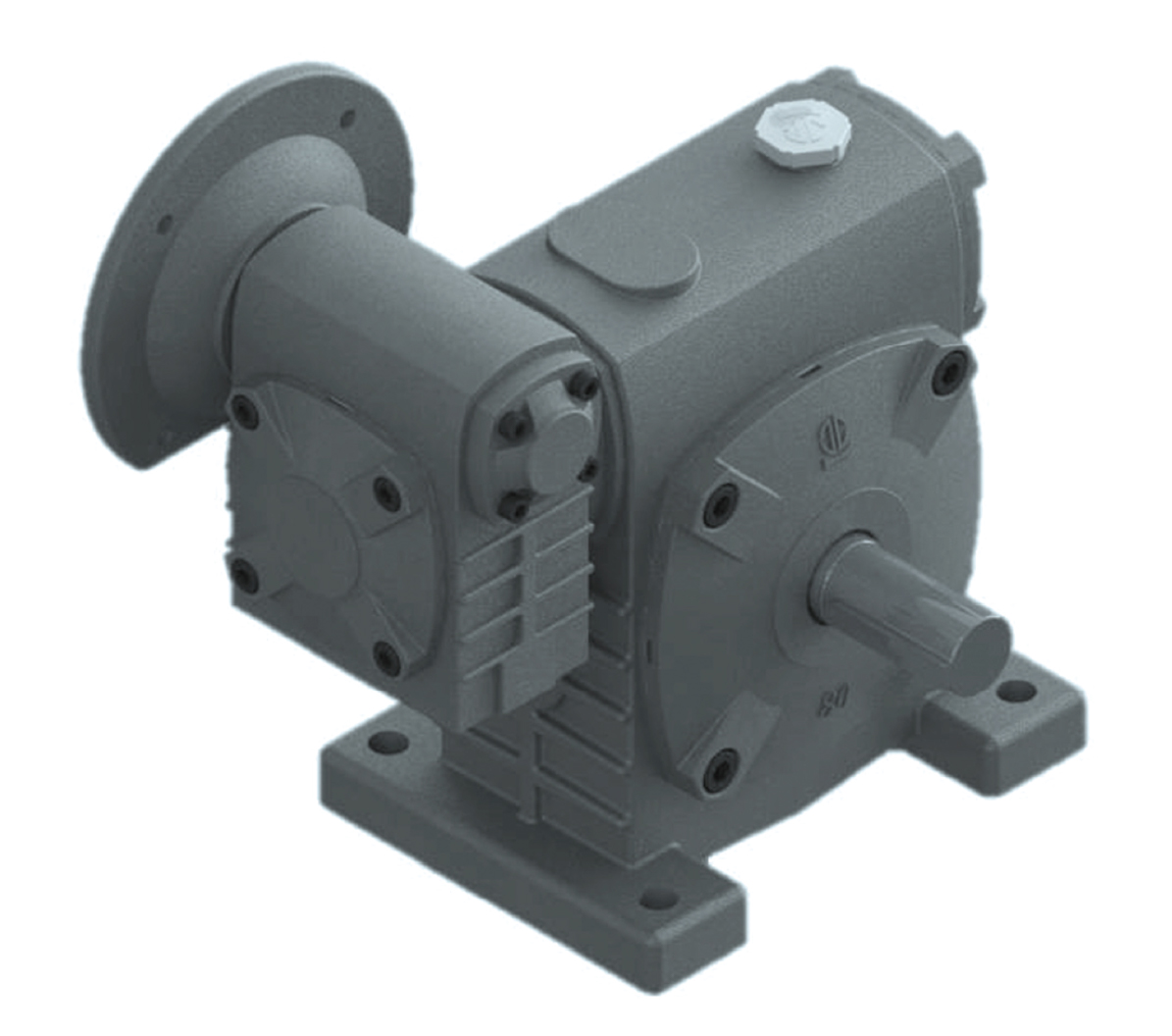 Worm Gear Reducer PAWE