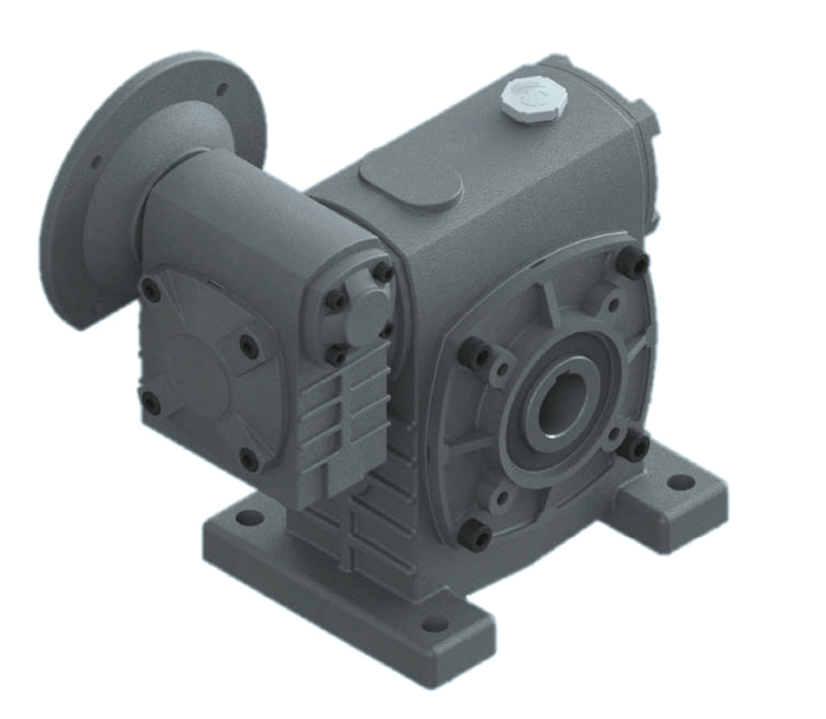 Worm Gear Reducer PAWEH